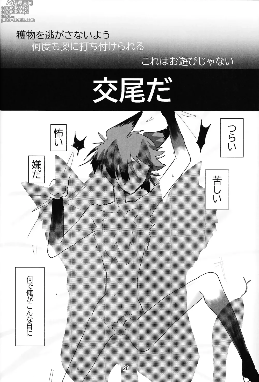 Page 27 of doujinshi PET