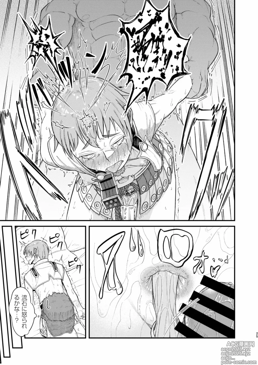Page 25 of doujinshi MHD-04