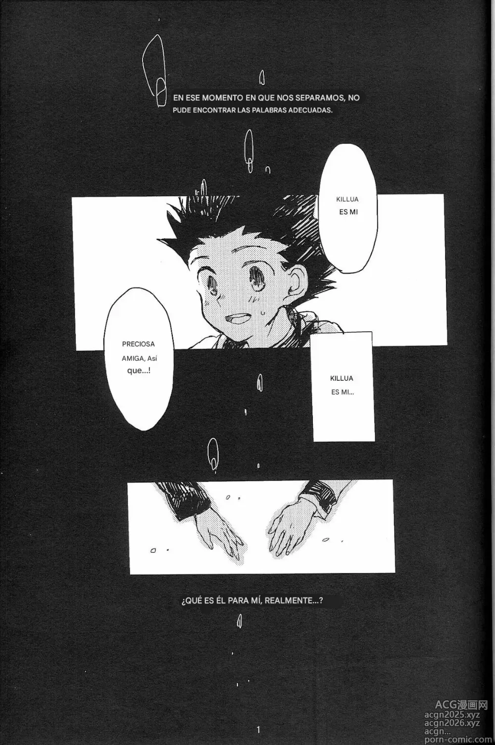 Page 3 of doujinshi Say Goodbye Triangle, Say Hello Square (Hunter x Hunter) [spanish)