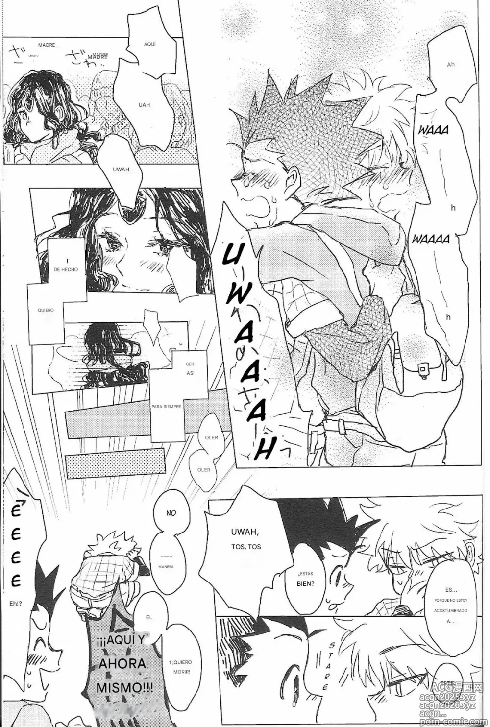 Page 33 of doujinshi Say Goodbye Triangle, Say Hello Square (Hunter x Hunter) [spanish)
