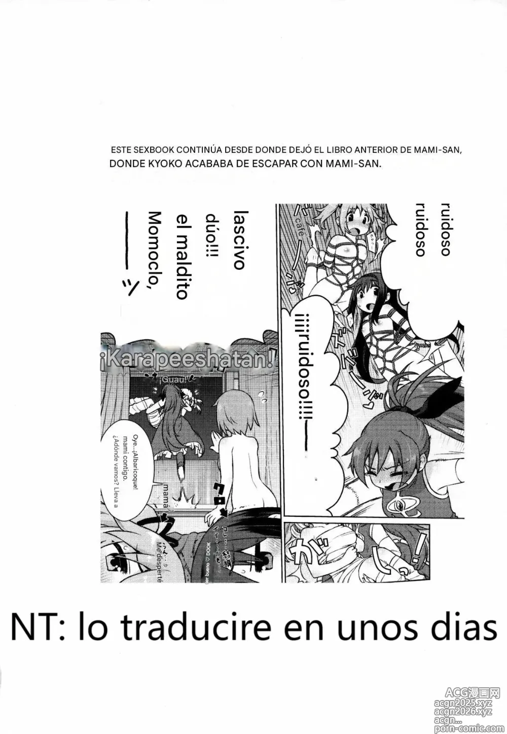 Page 4 of doujinshi Divagación de MamimamiX