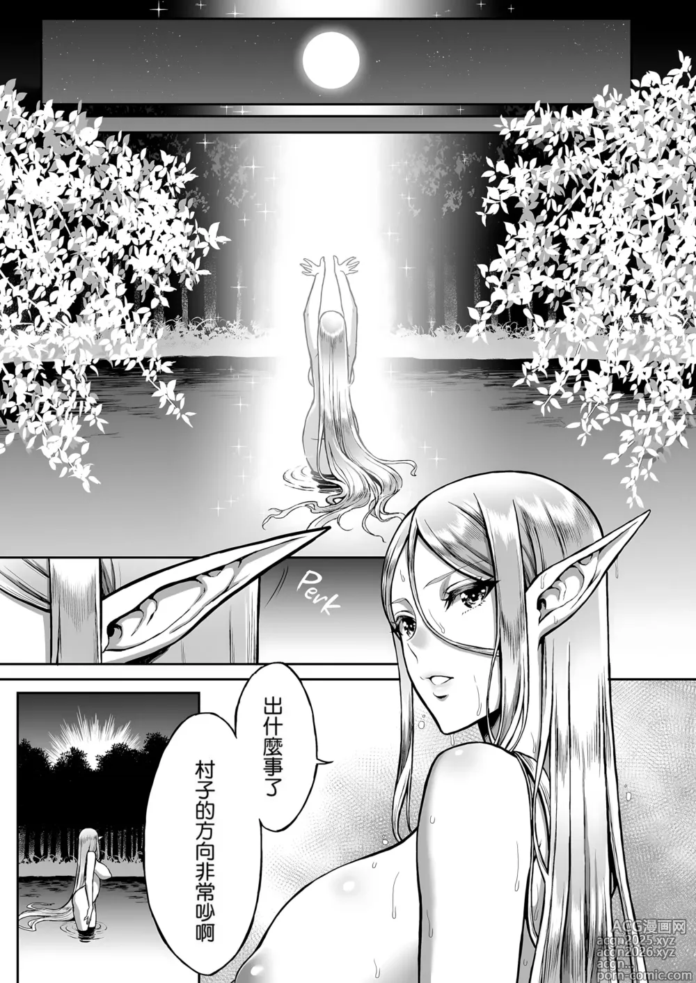 Page 3 of doujinshi 黄昏の娼エルフ 1-7