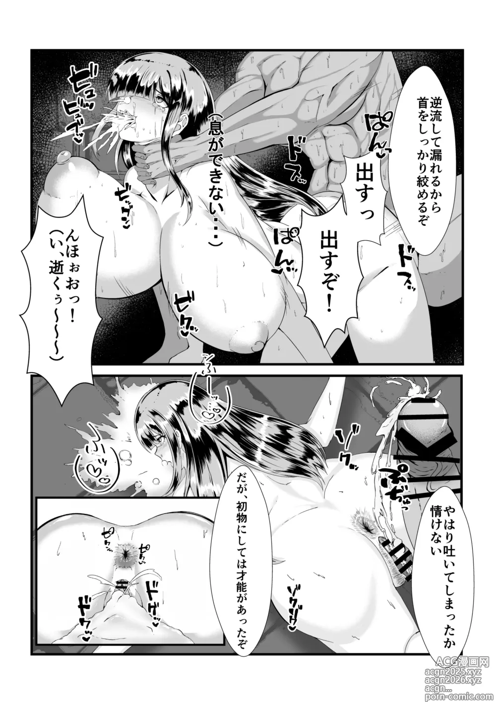 Page 12 of doujinshi Dark Elf Futanari ga Fukushuu de Mura o Yaku
