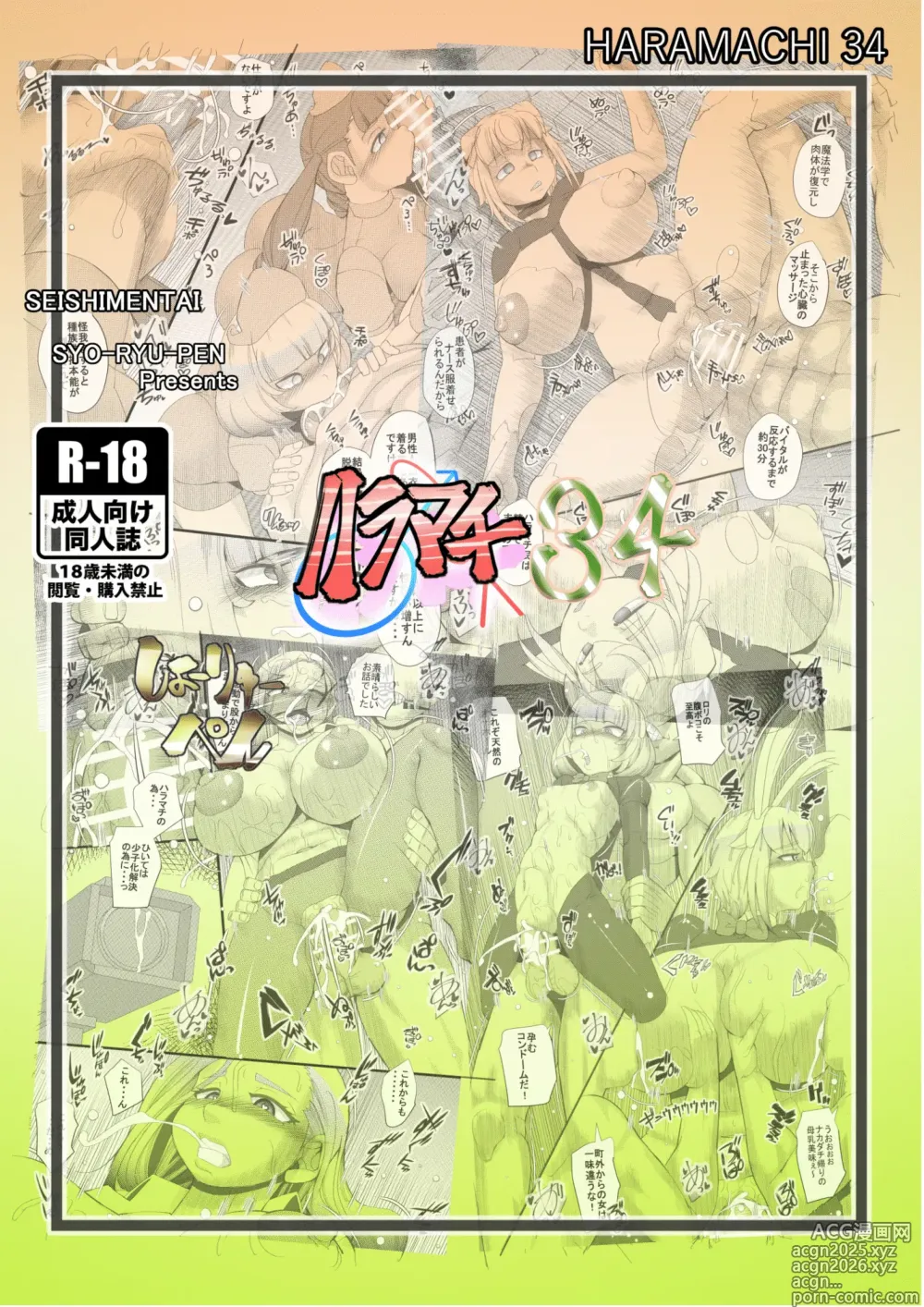 Page 26 of doujinshi HARAMACHI 34