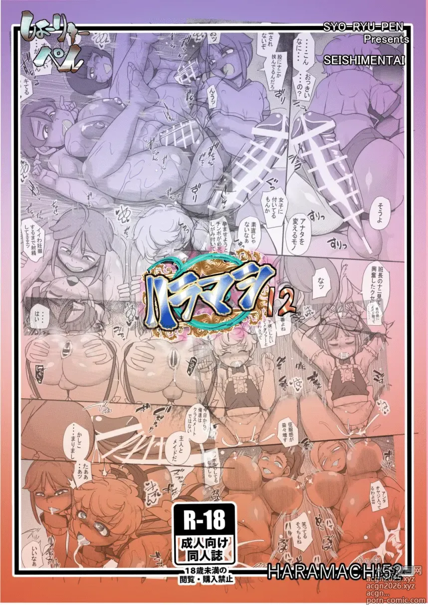 Page 26 of doujinshi HARAMASHI  12