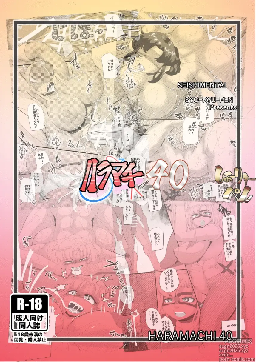 Page 26 of doujinshi HARAMACHI 40