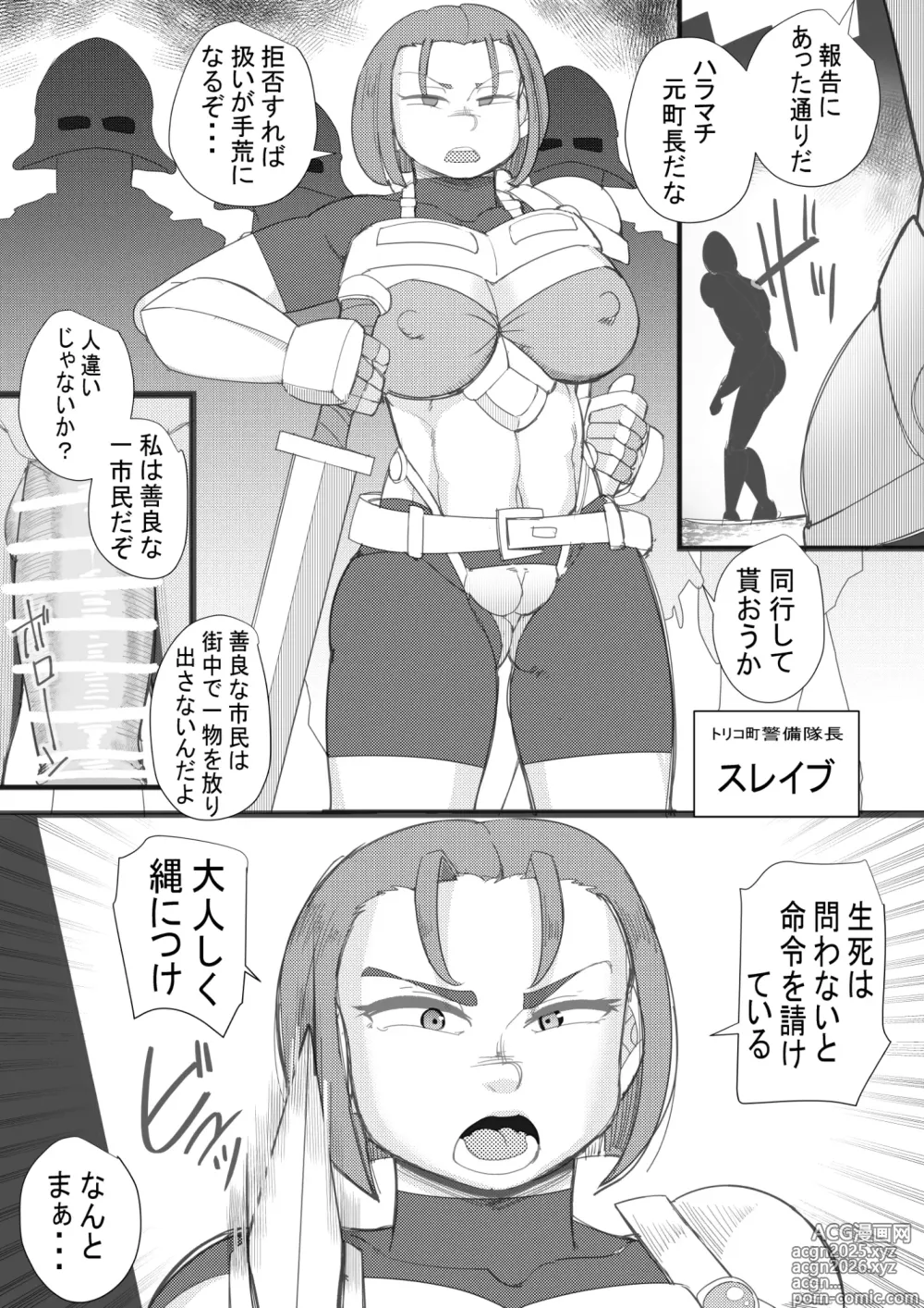 Page 3 of doujinshi HARAMASHI Junbichuu