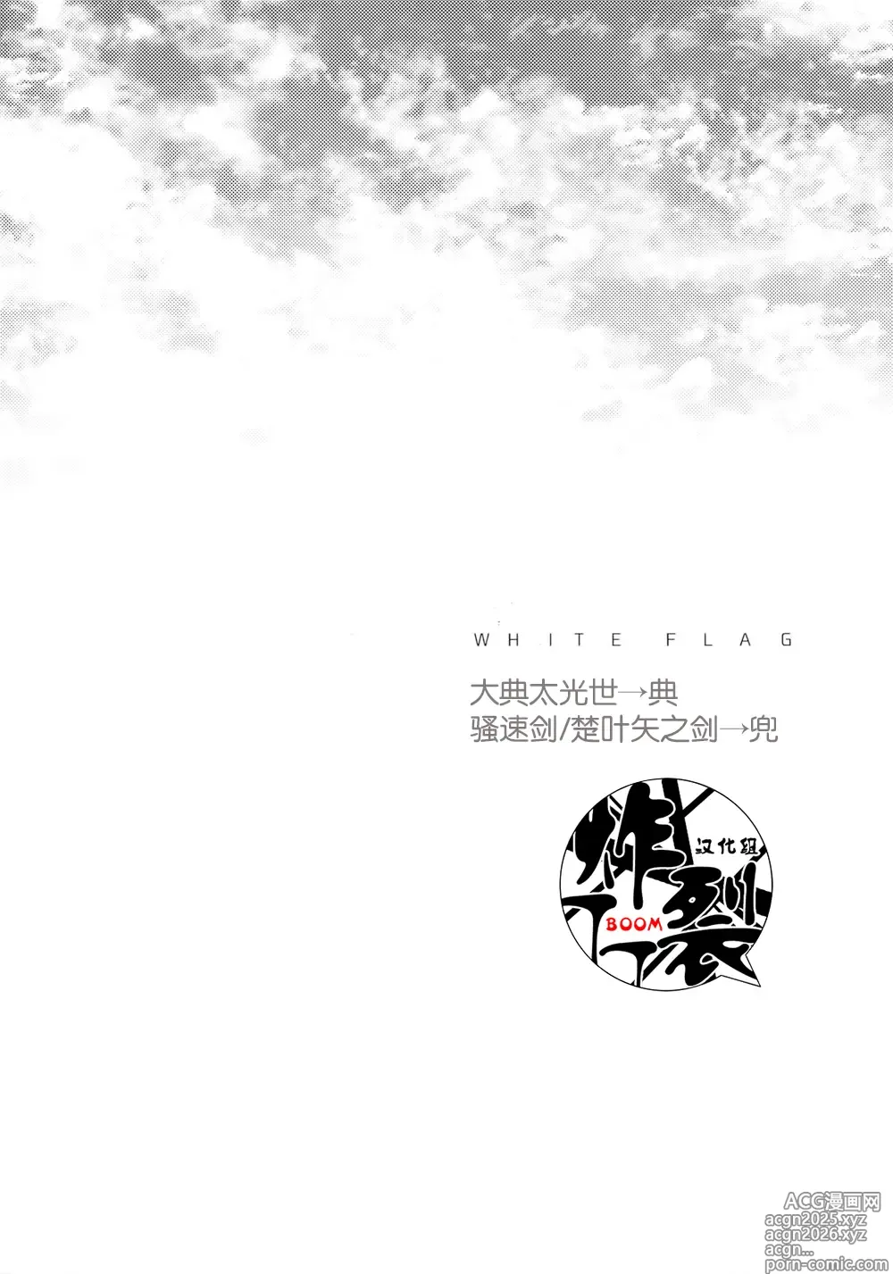 Page 3 of doujinshi White Flag