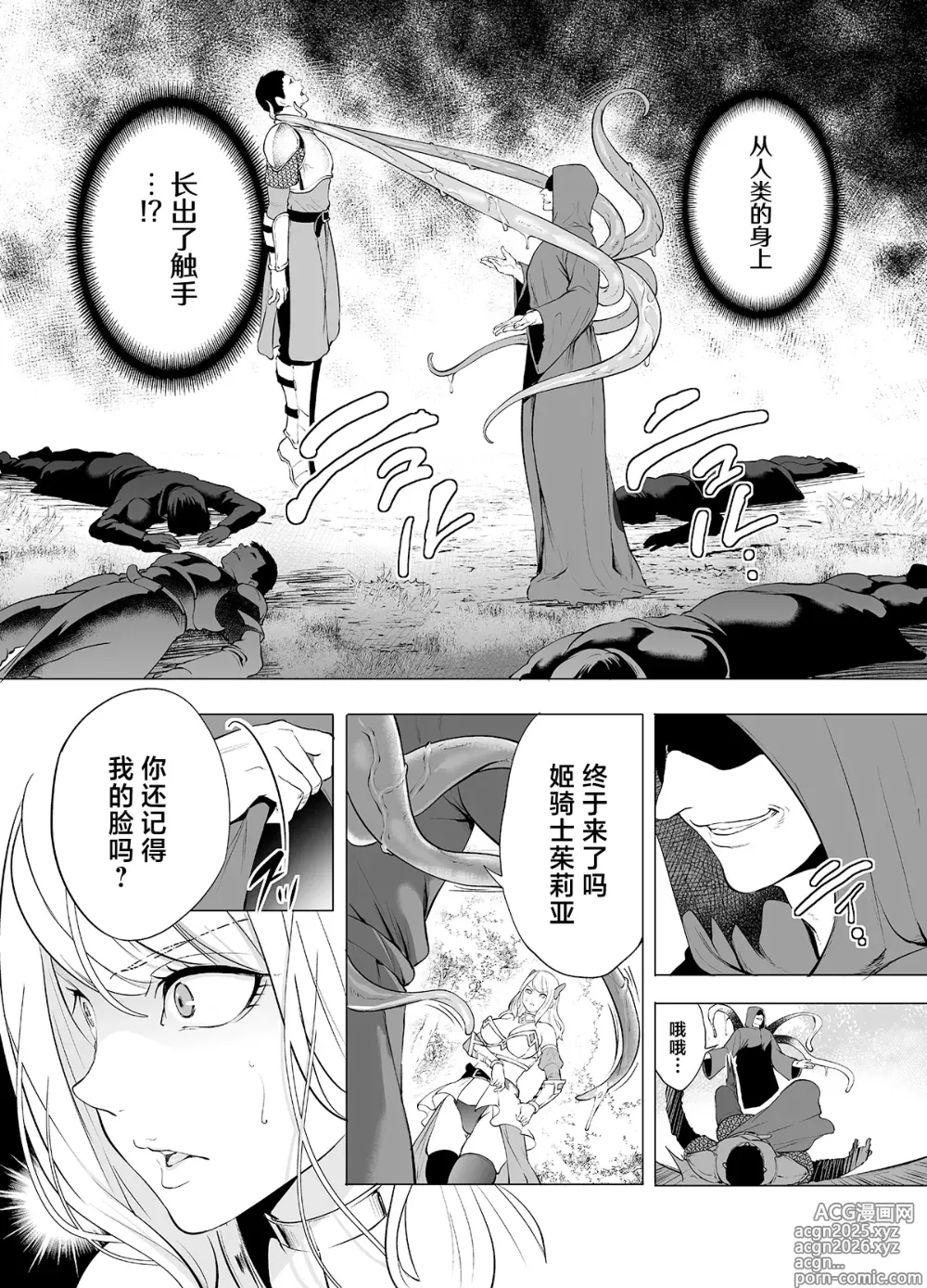 Page 5 of doujinshi 姬骑士、堕落于快乐中