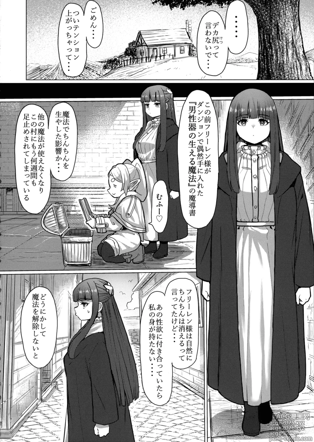 Page 10 of doujinshi Frieren to Chinchin no Haeru Mahou