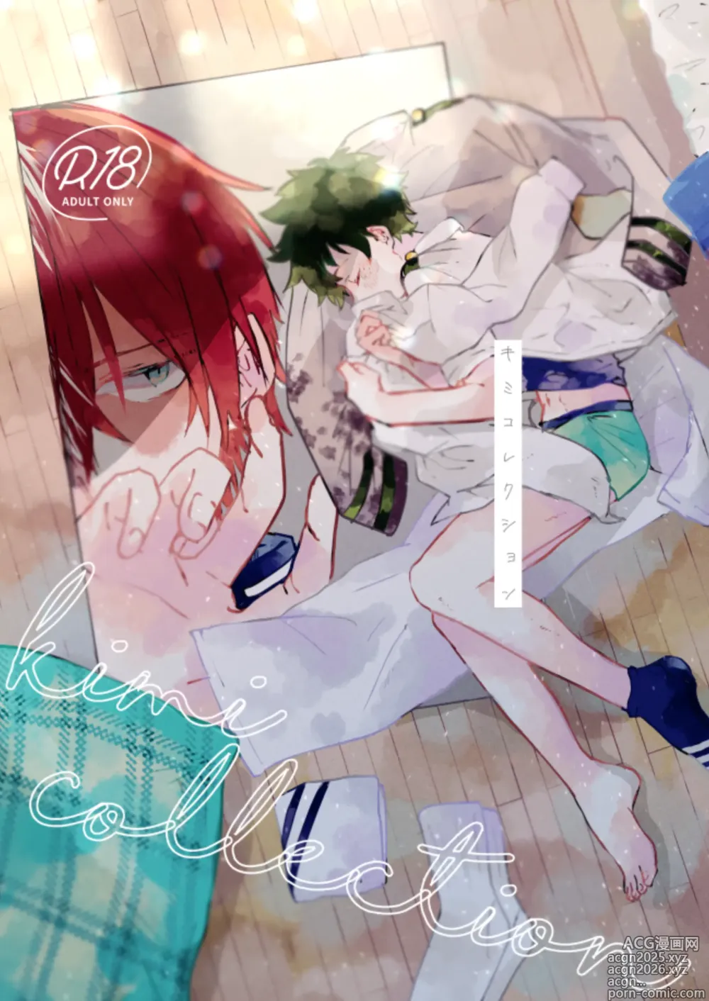 Page 2 of doujinshi Kimi Collection