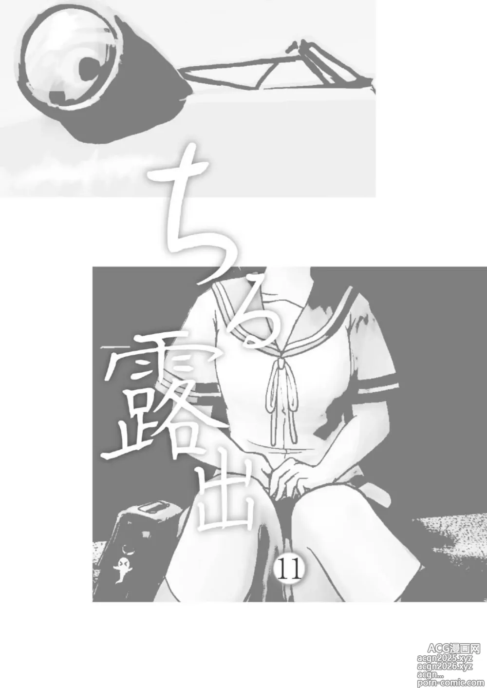 Page 3 of doujinshi Chiru Roshutsu 11