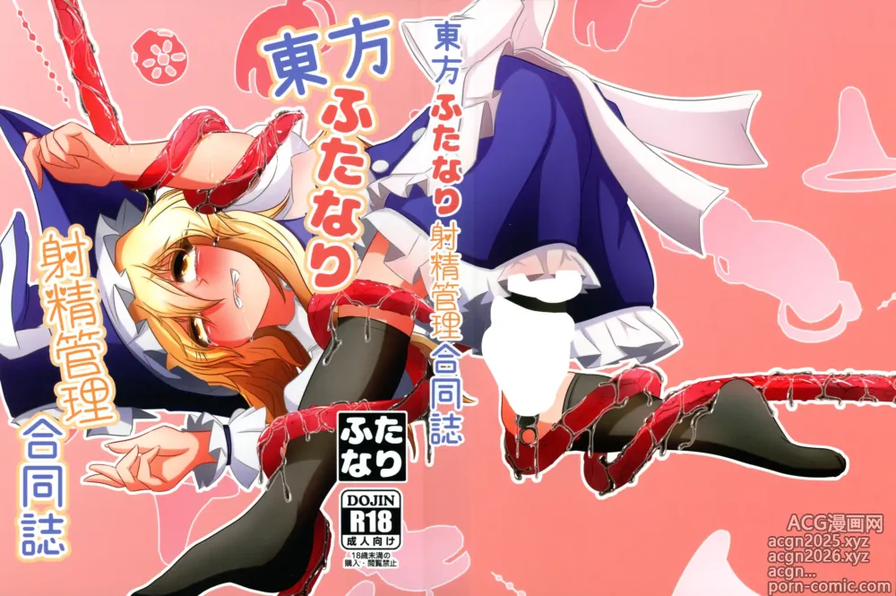 Page 1 of doujinshi Touhou Futanari Shaseikanri Goudou-shi