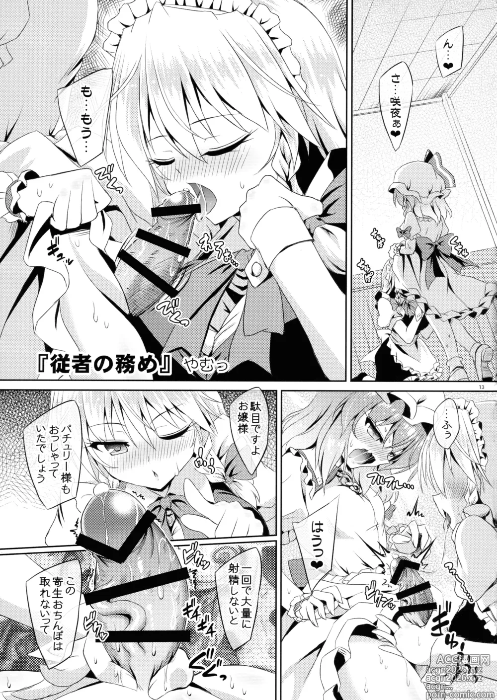 Page 12 of doujinshi Touhou Futanari Shaseikanri Goudou-shi