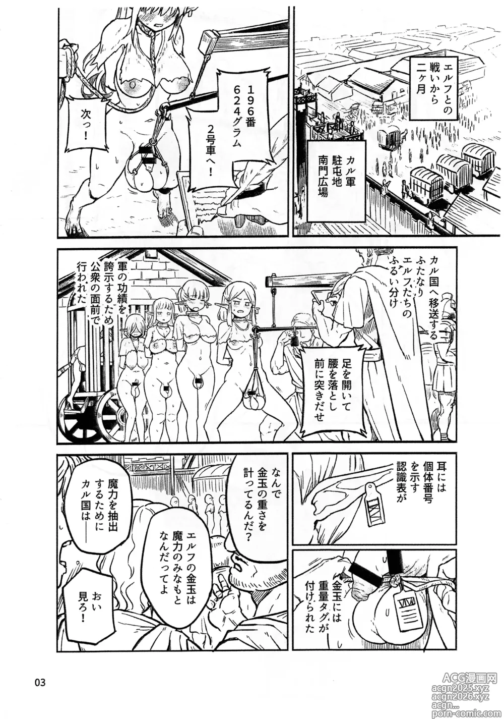 Page 3 of doujinshi Ryoshuu no Futanari Elf Junbi-gou