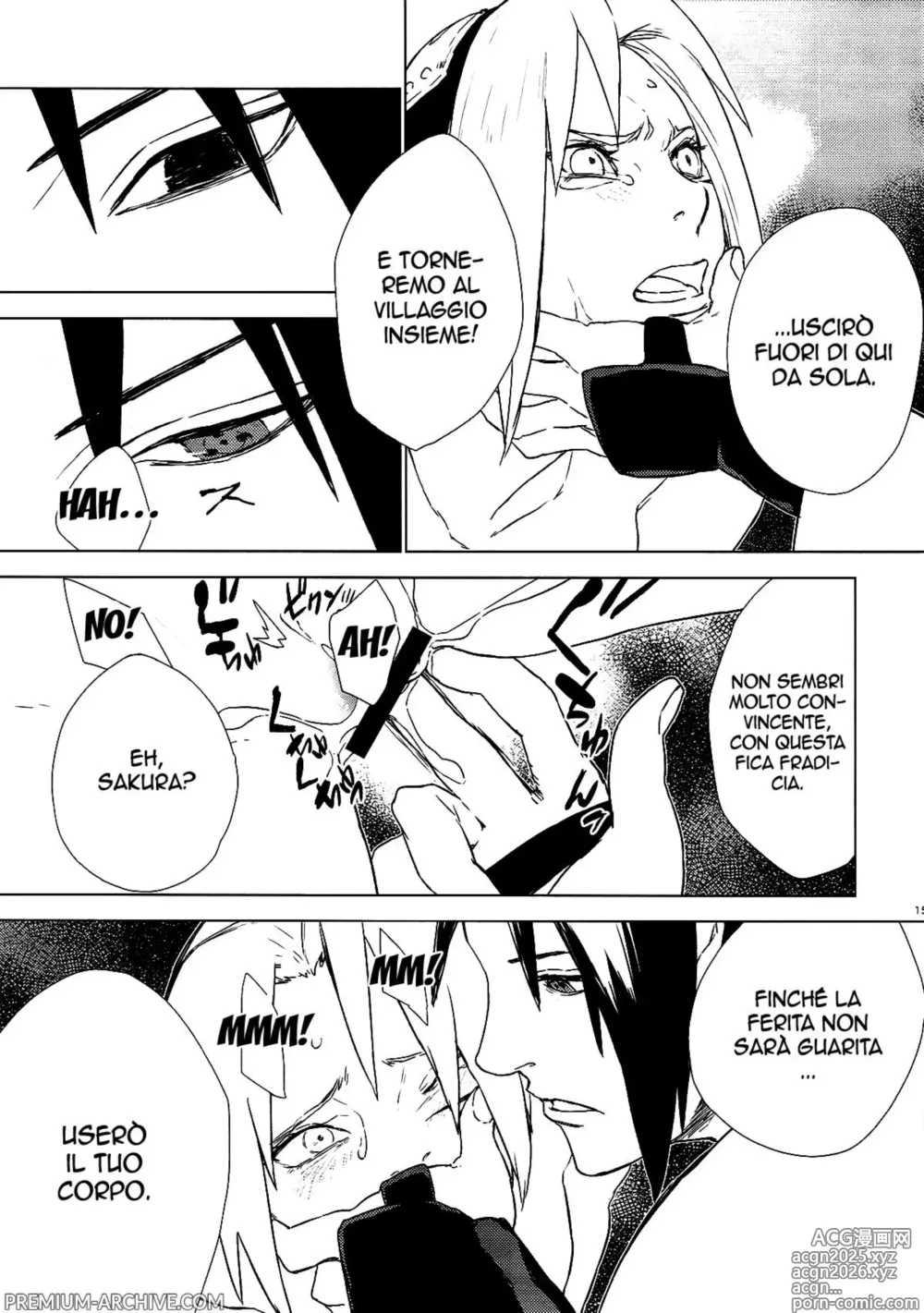 Page 14 of doujinshi Phantom Vanilla