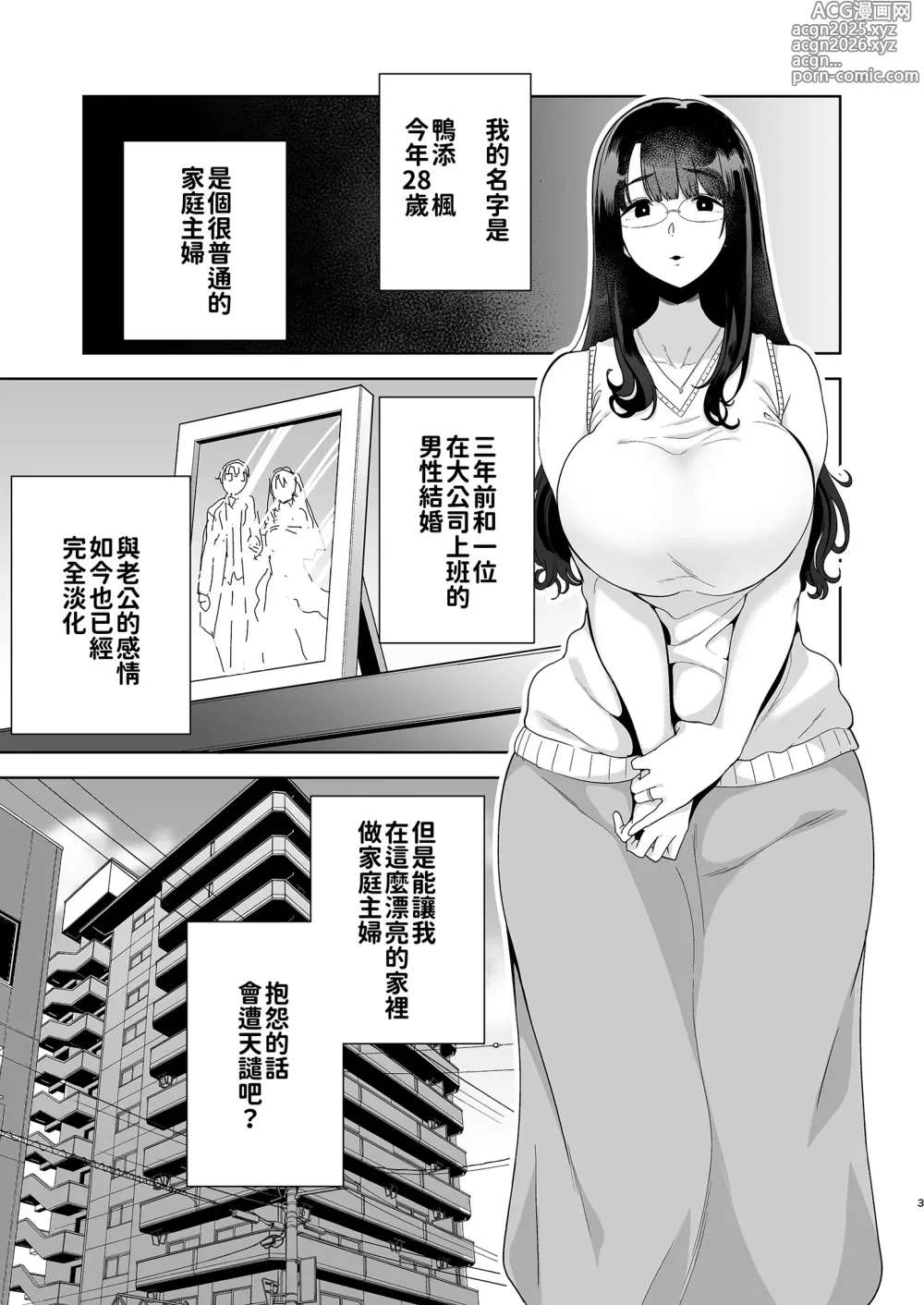 Page 5 of doujinshi ワイルド式日本人妻の寝取り方 総集編｜狂野式睡走日本人妻的方法 總集篇1-3+4