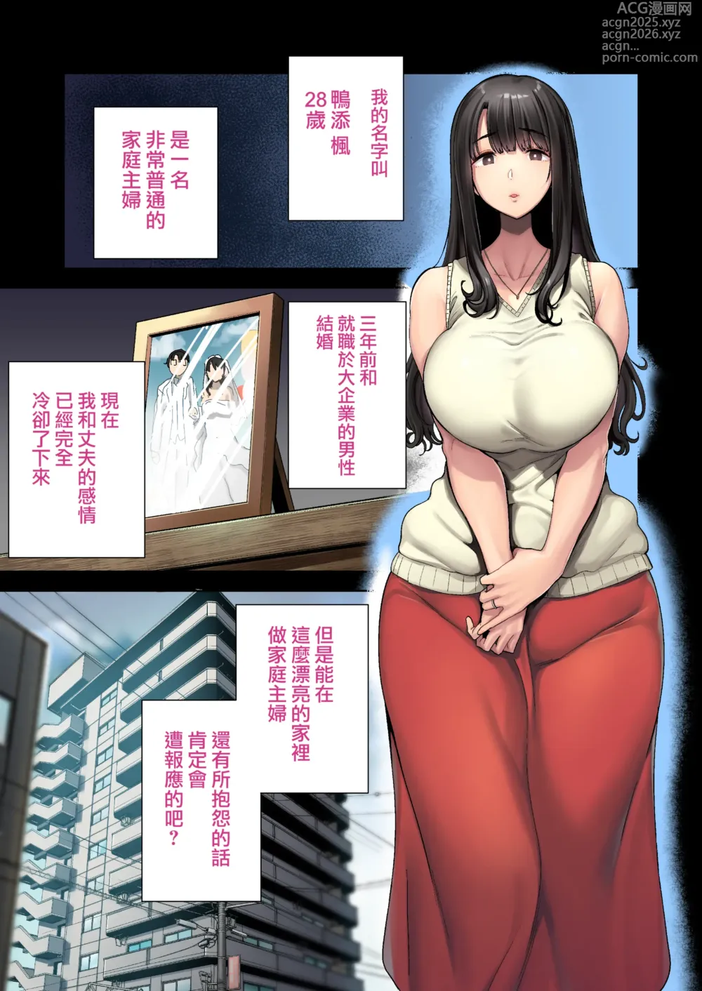 Page 3 of doujinshi ワイルド式日本人妻の寝取り方 1-3全彩+4【中文】