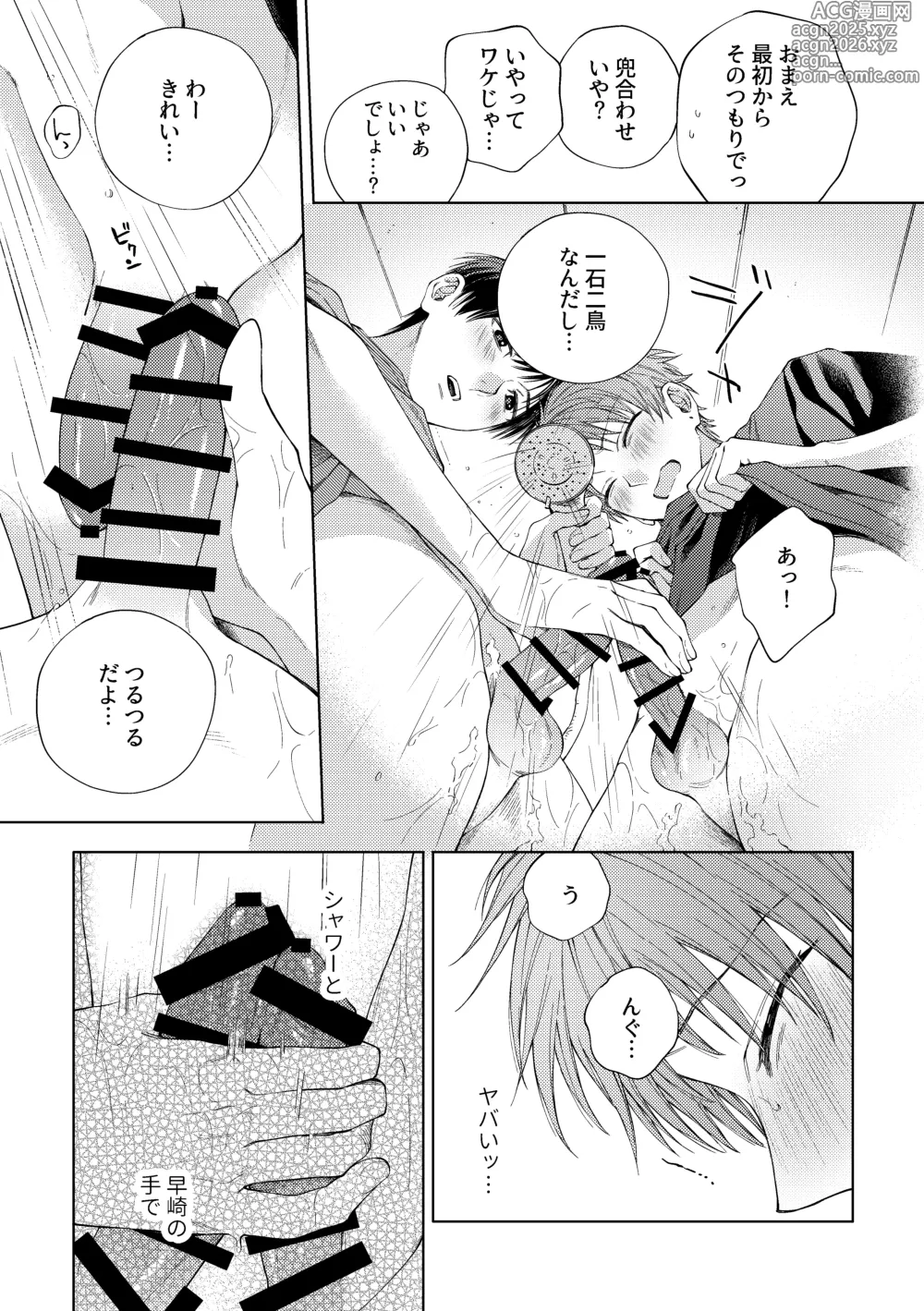 Page 16 of doujinshi HayaNagi no Hon
