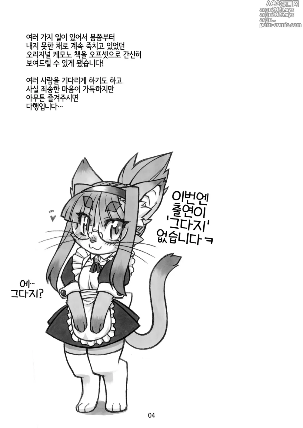 Page 3 of doujinshi Kemo Lover