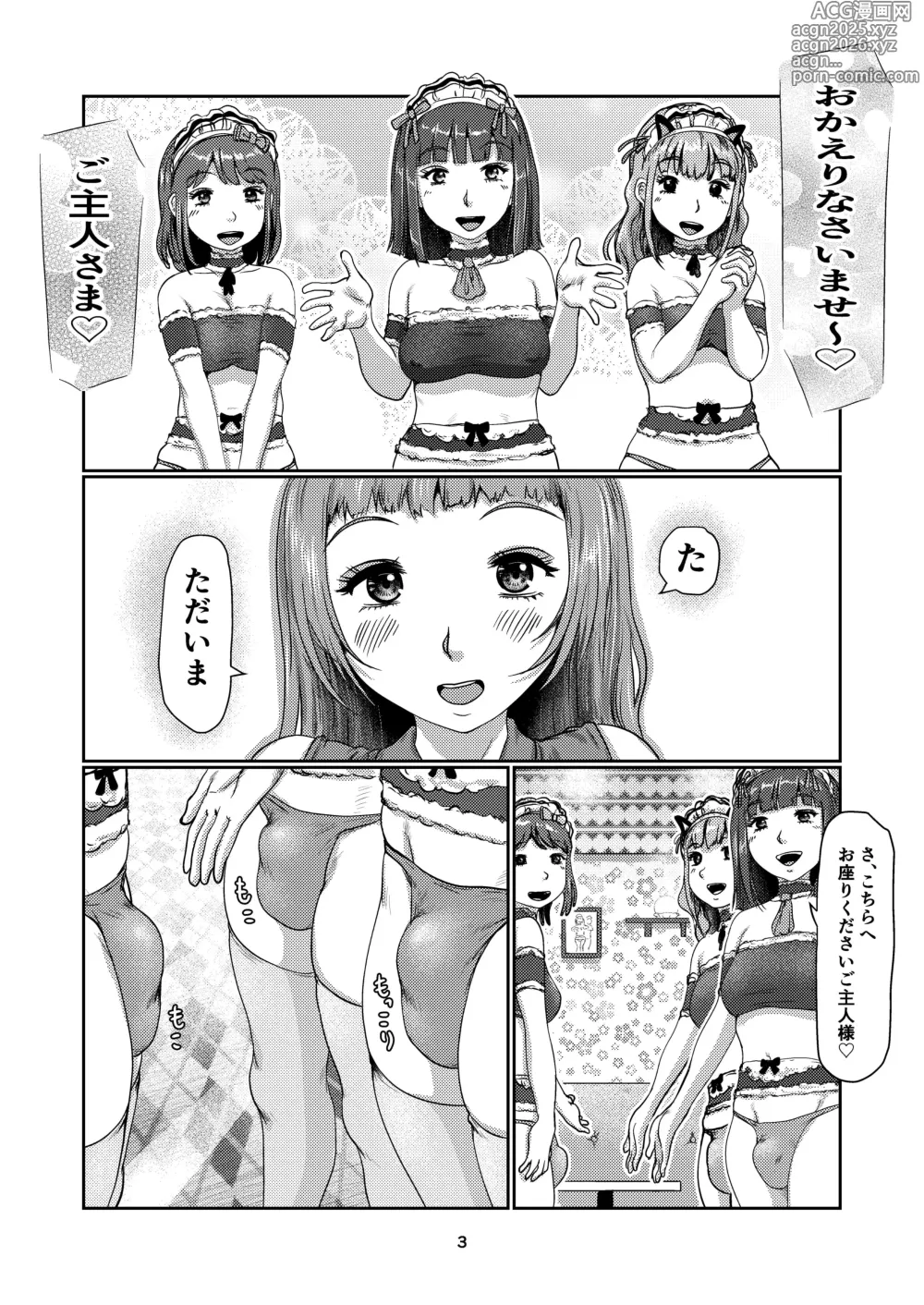 Page 3 of doujinshi Futanari meido kissa