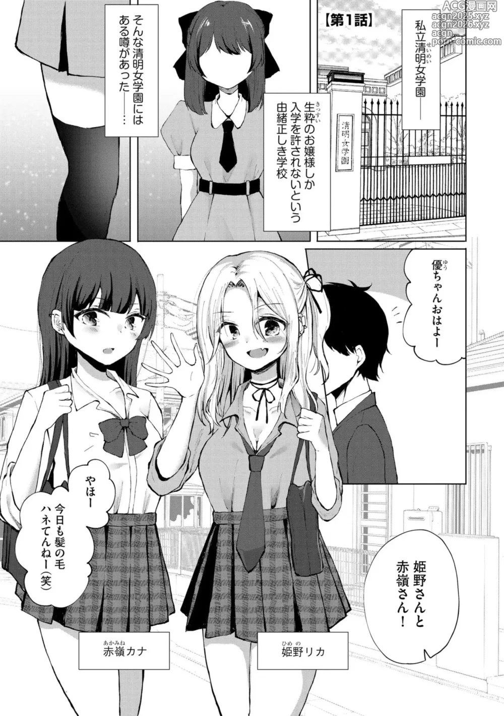 Page 4 of manga Kimi wa Kyouyuu Dildo ~Ojousamakou no Do-S Bitch-tachi to Pet Seikatsu~