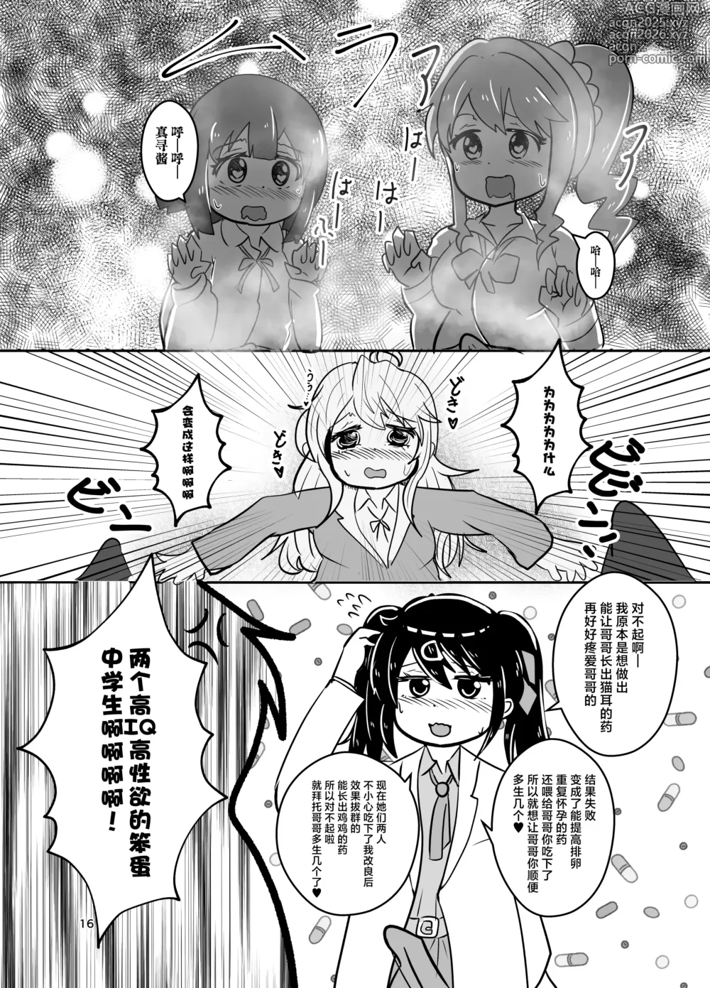 Page 16 of doujinshi Onii-chan wa Ochimai! w