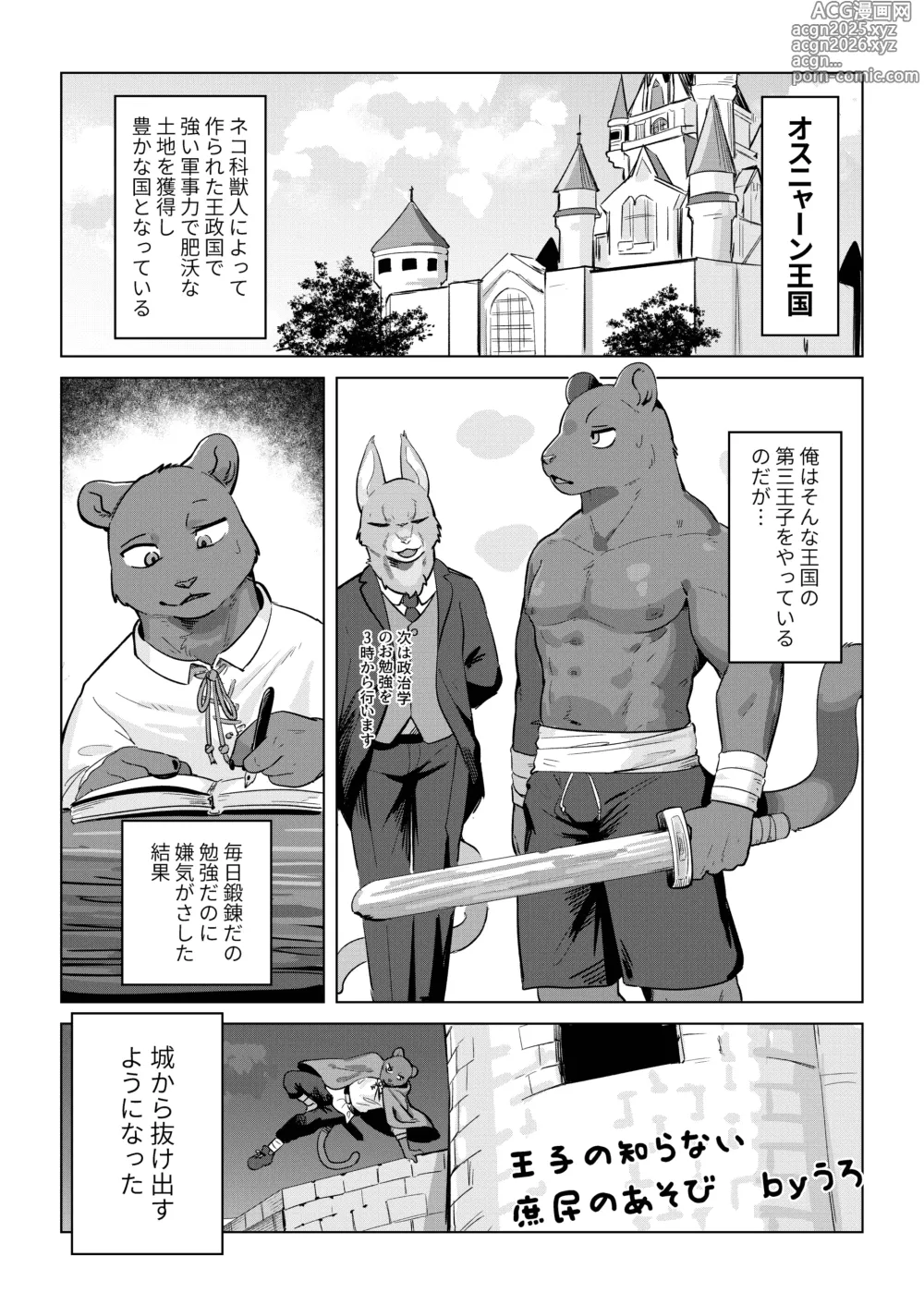 Page 1 of doujinshi 王子の知らない庶民の遊び