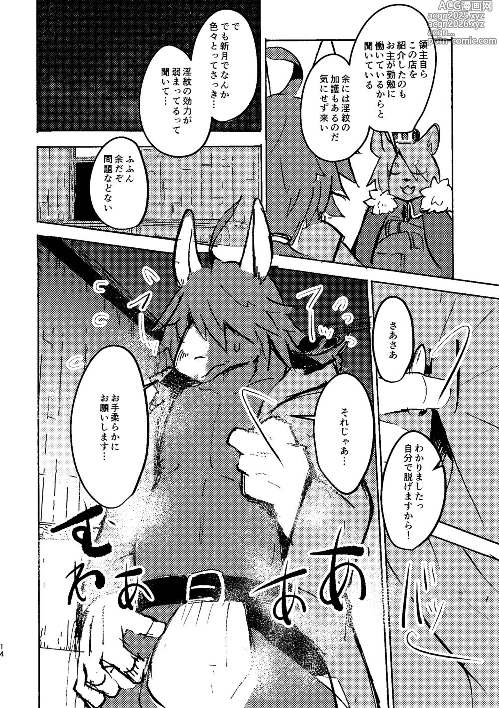 Page 13 of doujinshi THE BRANDED DUTY 2