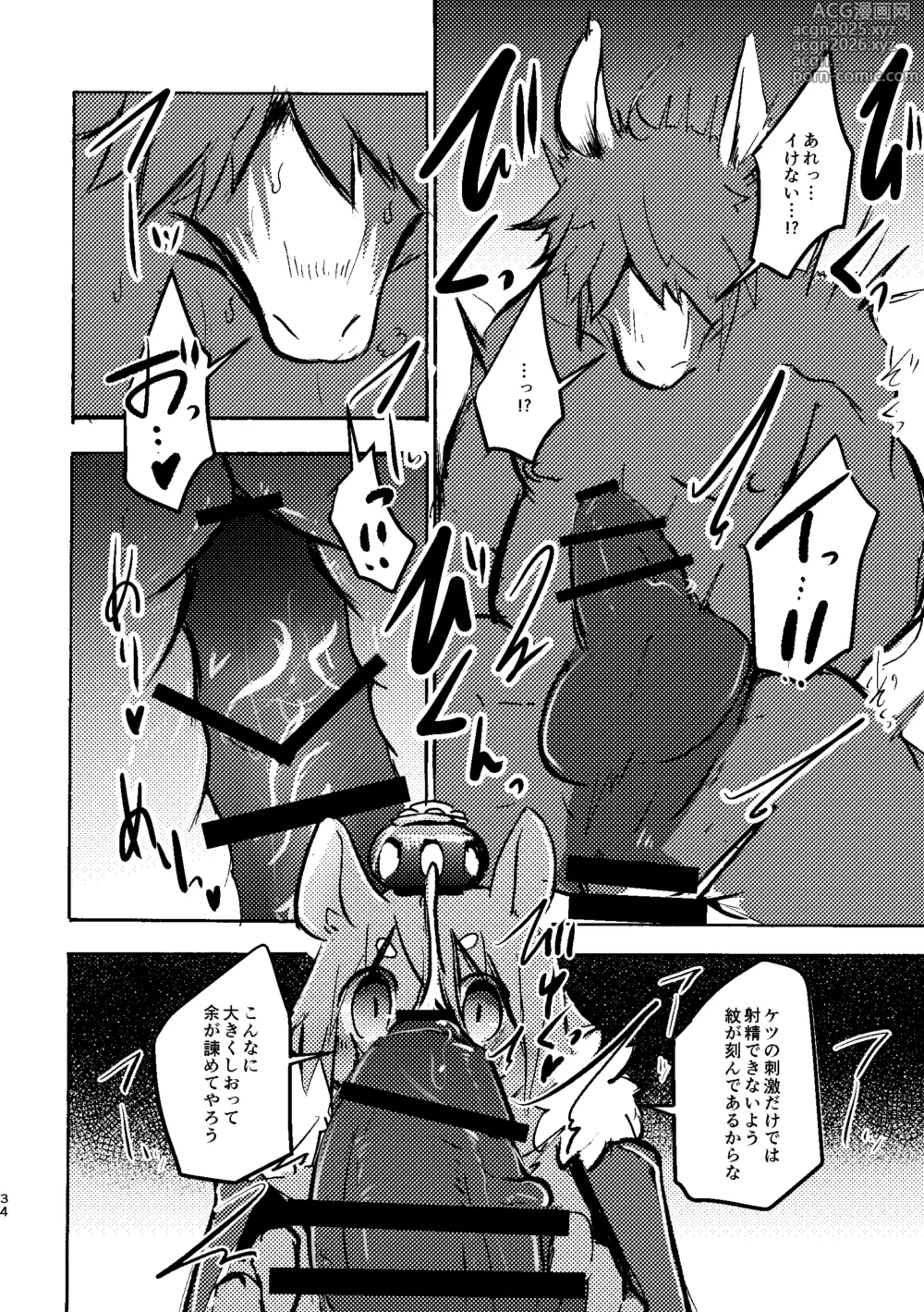 Page 33 of doujinshi THE BRANDED DUTY 2