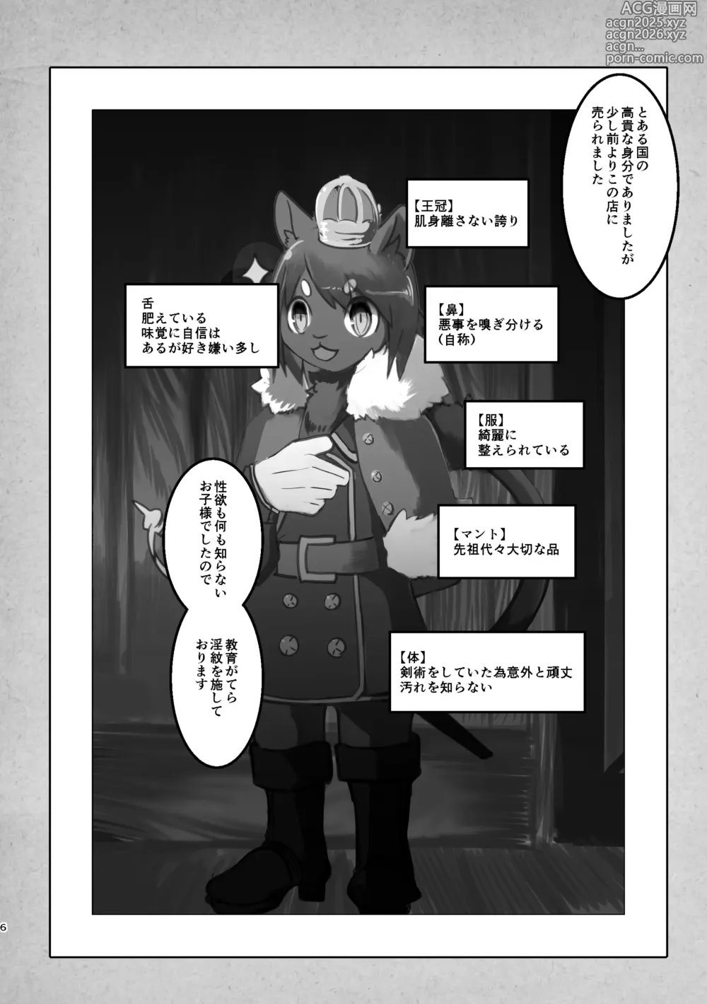 Page 5 of doujinshi THE BRANDED DUTY 2