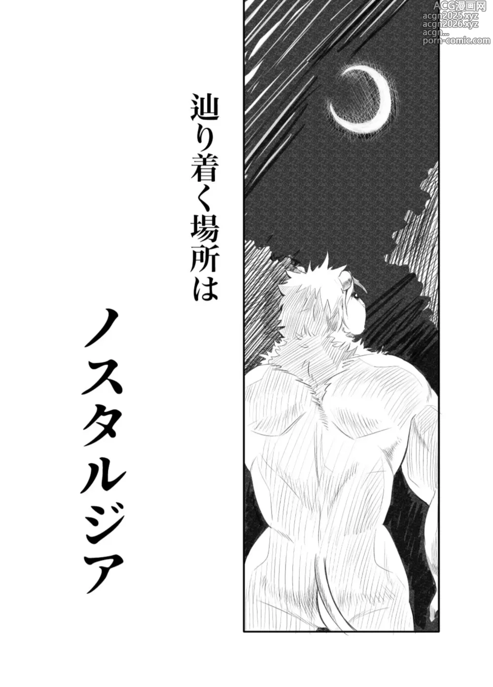 Page 5 of doujinshi Nostalgia 4