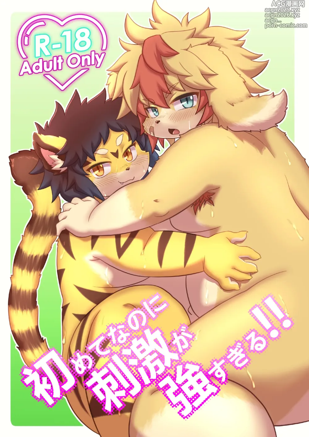 Page 1 of doujinshi 初めてなのに刺激が強すぎる