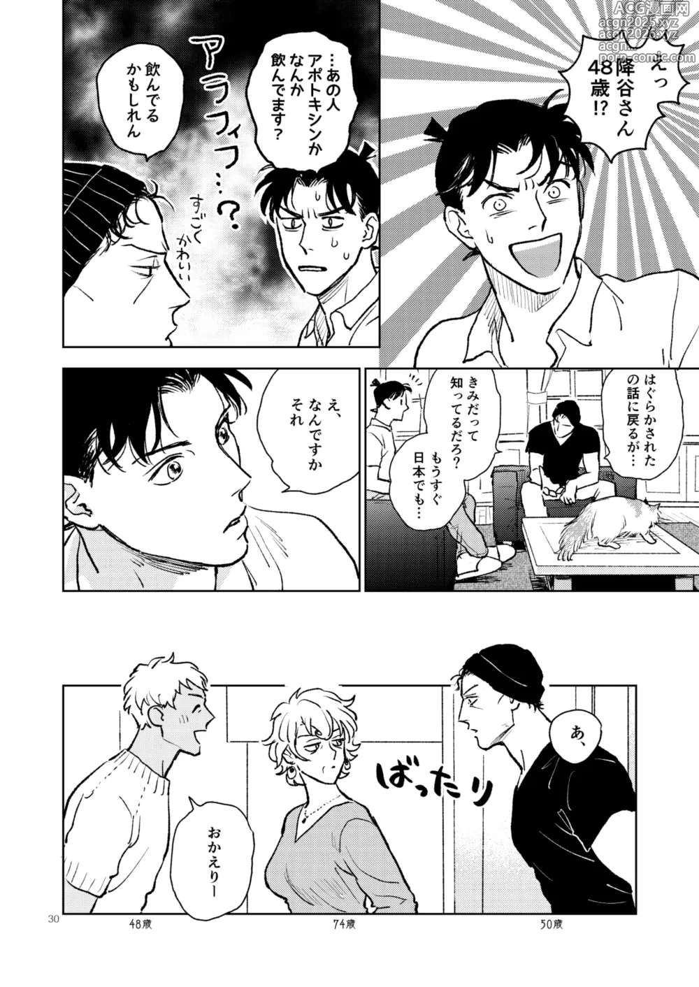 Page 29 of doujinshi 世界一かっこわるいふたり