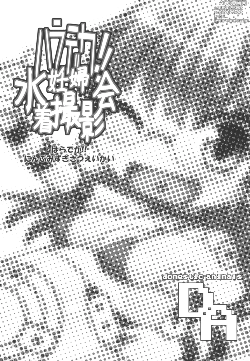 Page 3 of doujinshi Haradeka!! Ninpu Mizugi Satsueikai