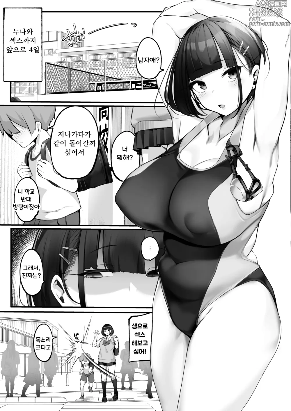 Page 17 of doujinshi Boku to Gasatsu na Onee no Seiyoku Shori Seikatsu ~Onee-chan ni Katetara Ninshin Kakugo de Nama Ecchi Hen~｜나와 털털한 누나의 성욕 처리 생활 ~누나를 이겨서 임신시킬 각오로 생H♥편~