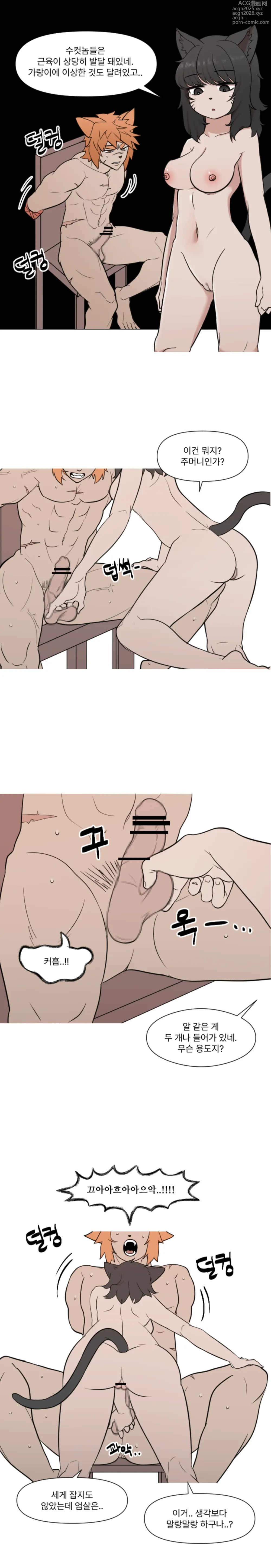 Page 1 of doujinshi 2022-07-22 수컷탐구