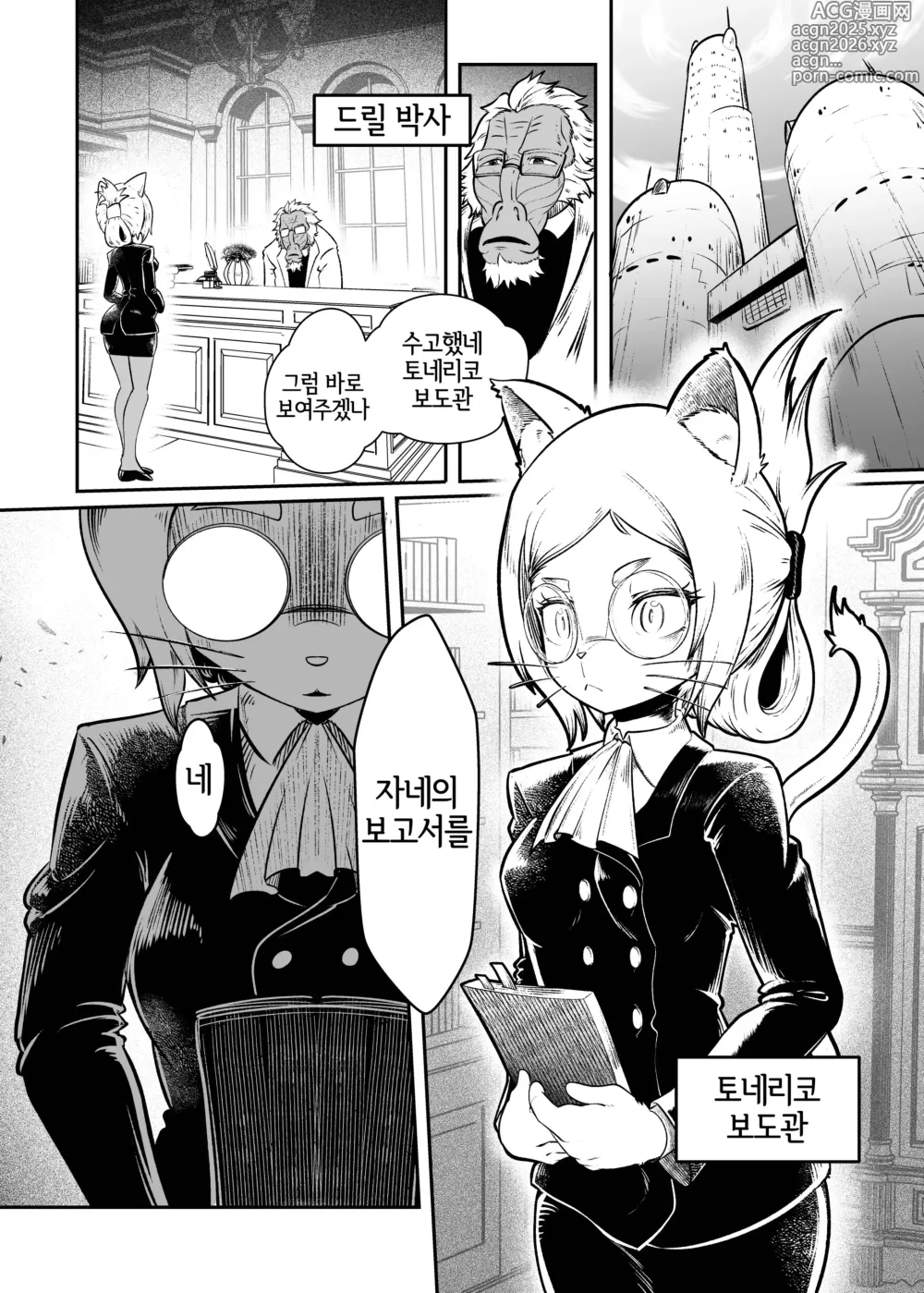 Page 3 of doujinshi Tonelico Houdoukan no Ura Houkokusho