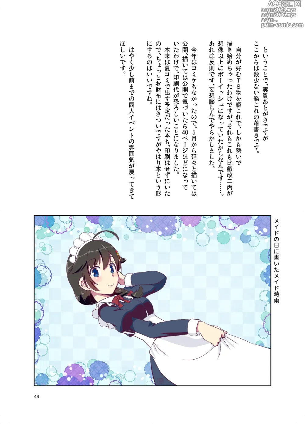 Page 44 of doujinshi Hiei ni Natta Teitoku