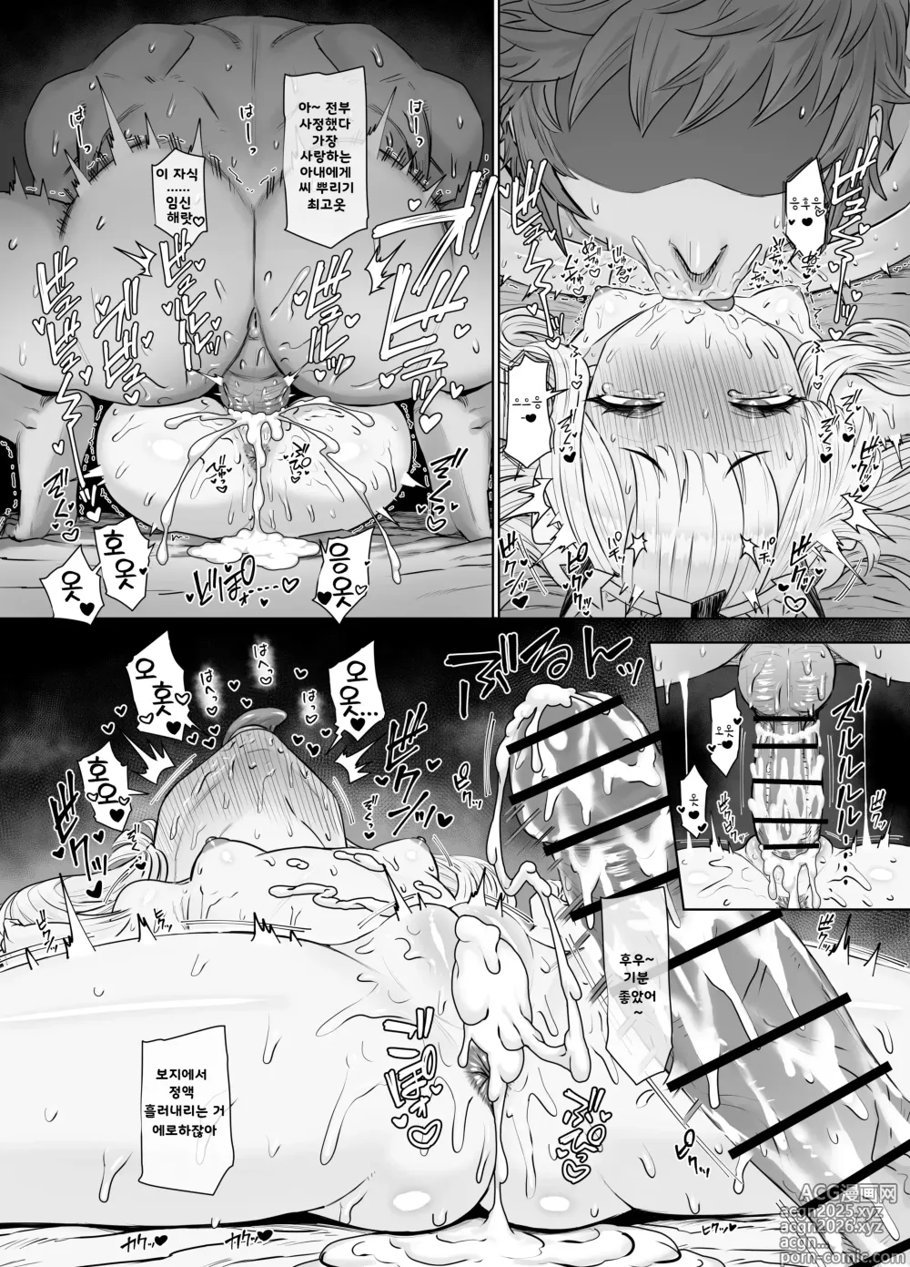 Page 27 of doujinshi 칼리오스트로와 비밀의 연금술