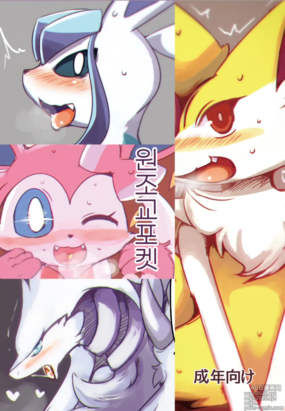 Page 2 of doujinshi 원조교포켓