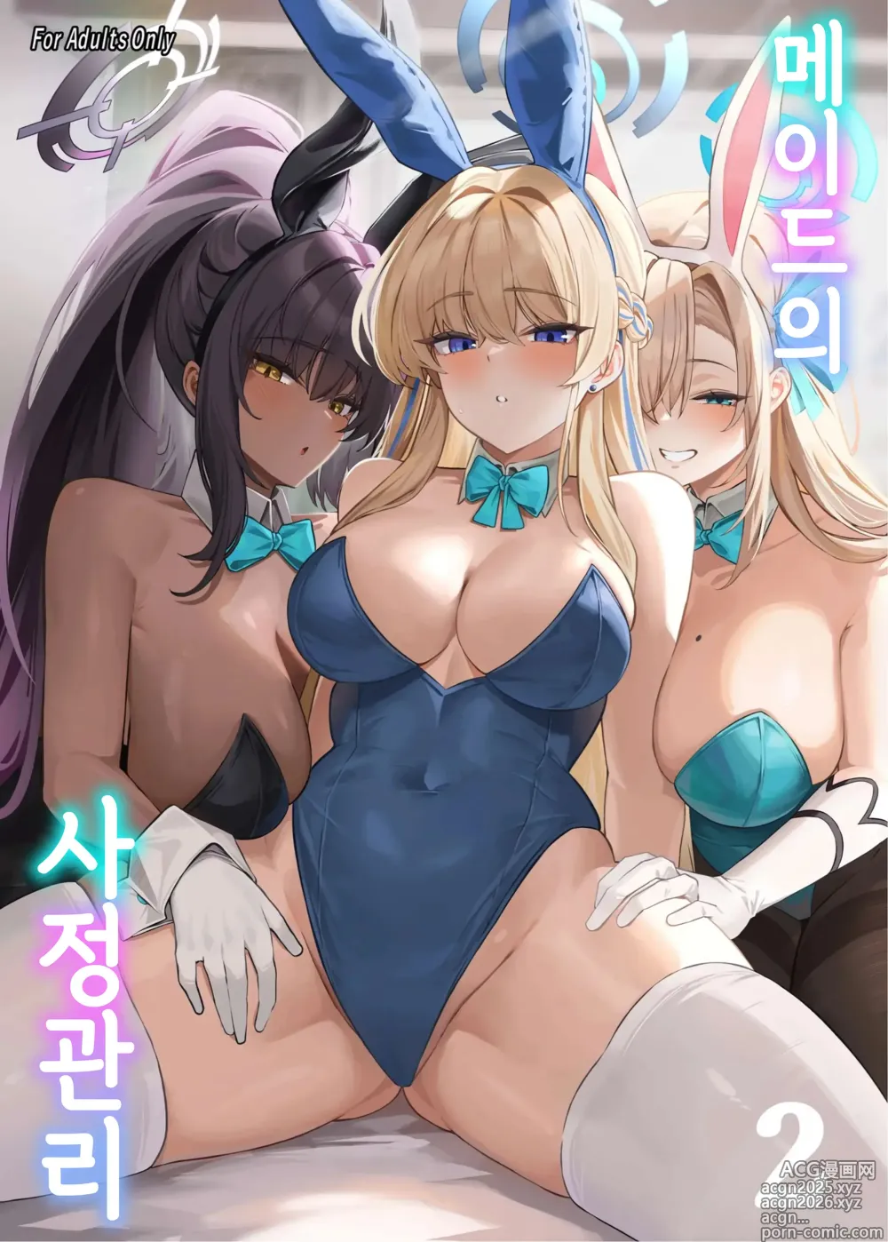 Page 2 of doujinshi 메이드의 사정관리 합본