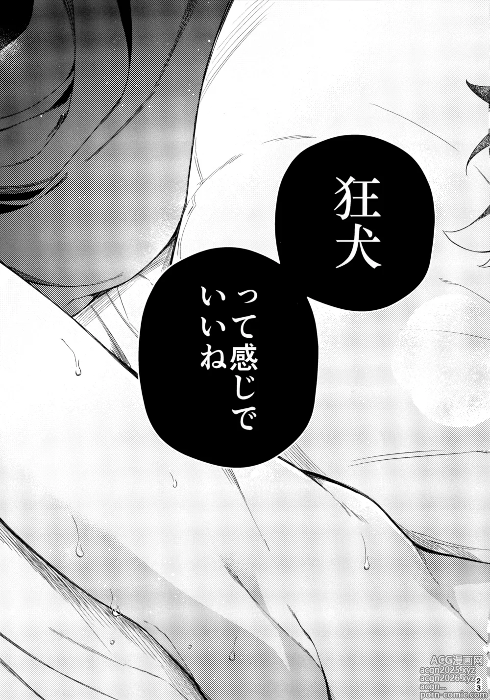 Page 22 of doujinshi Kyouken-kun wa Yakunitachitai.