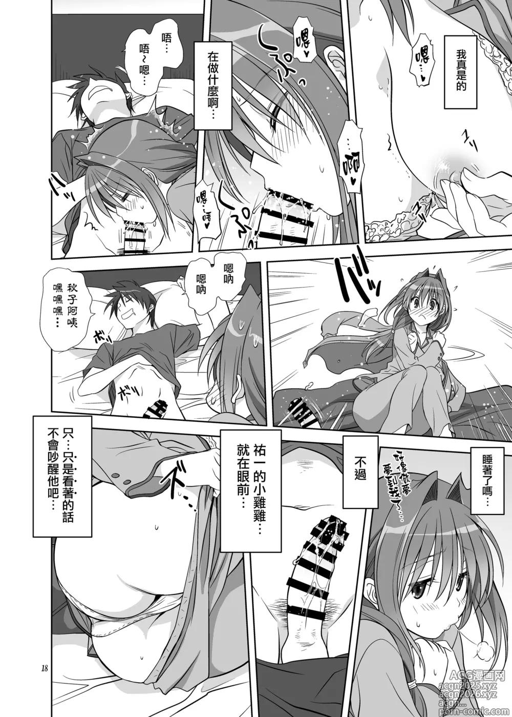 Page 17 of doujinshi Akiko-san to Issho 11