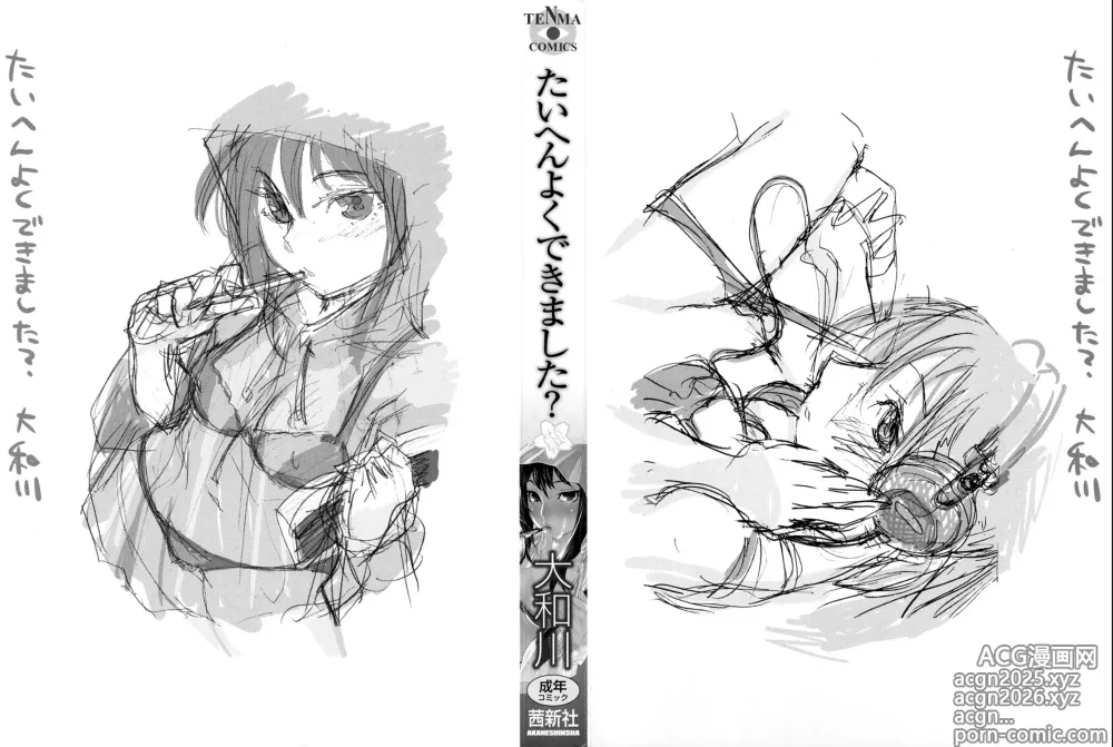 Page 4 of manga Taihen Yoku Dekimashita? (decensored)