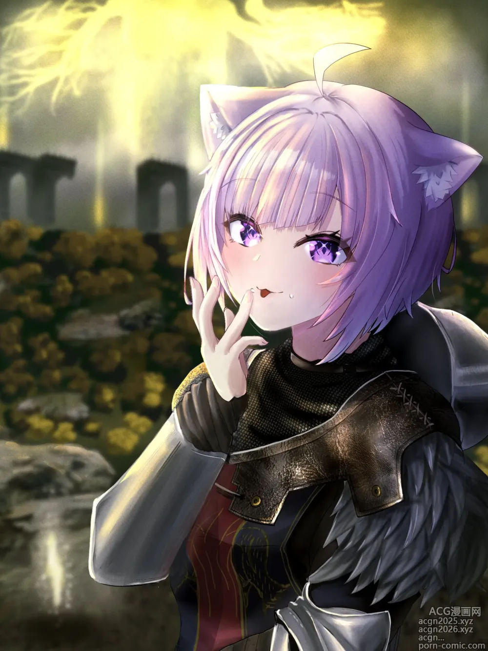 Page 96 of imageset とらきち