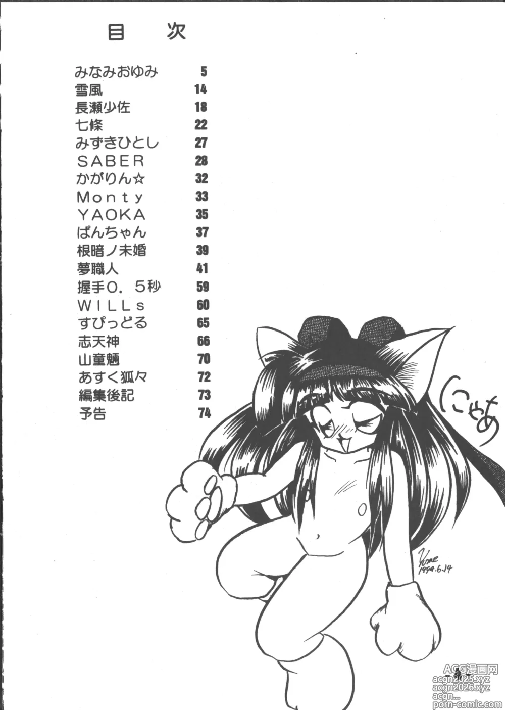 Page 3 of doujinshi Denyuu Tougenkyou