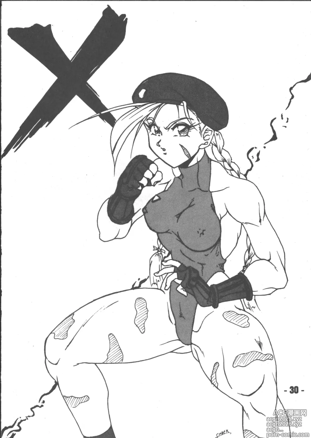 Page 29 of doujinshi Denyuu Tougenkyou