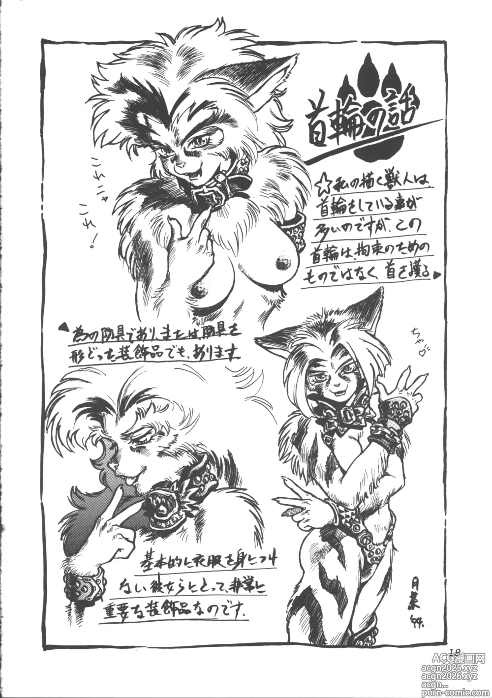 Page 17 of doujinshi ZOANTHROPY