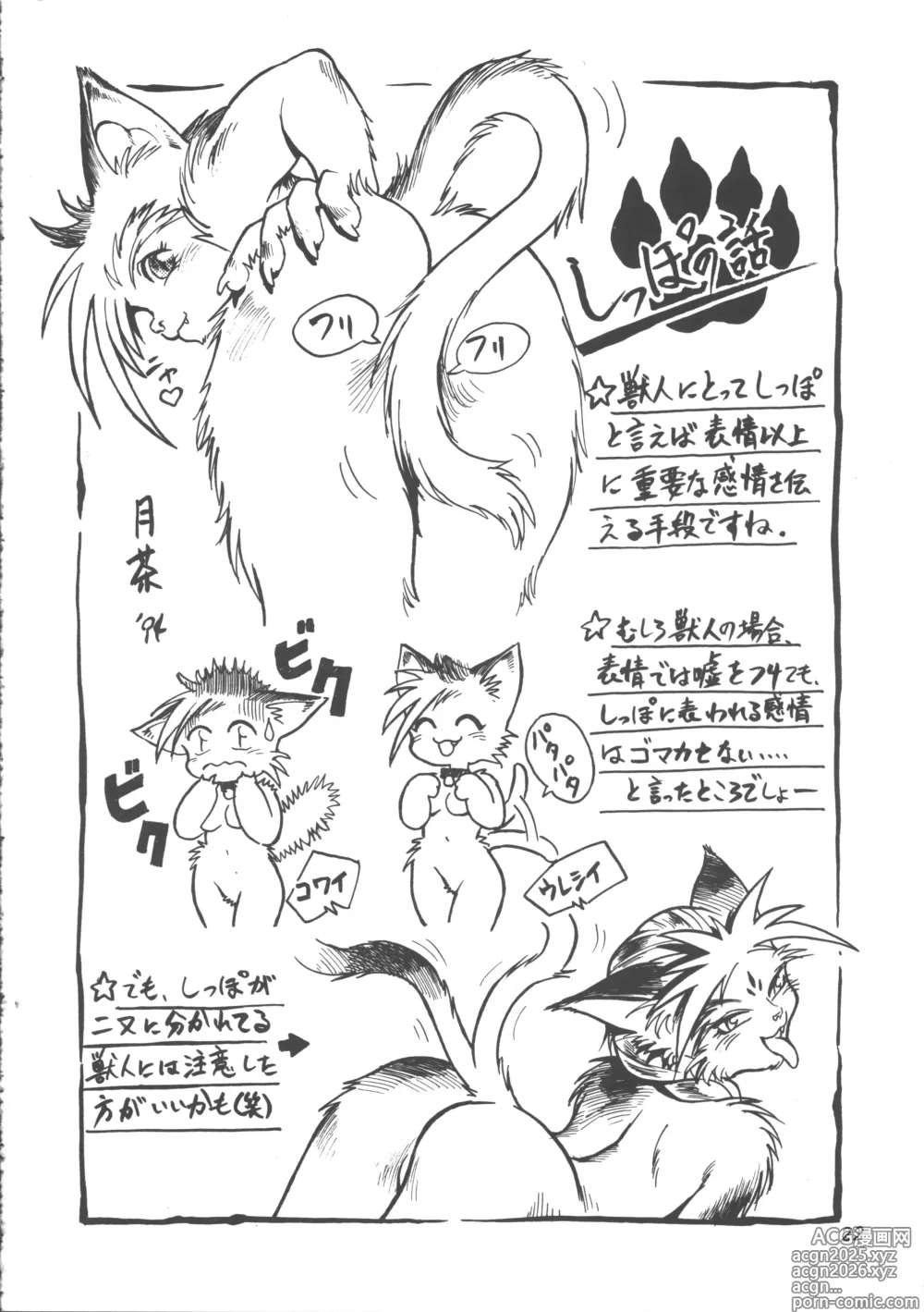 Page 21 of doujinshi ZOANTHROPY